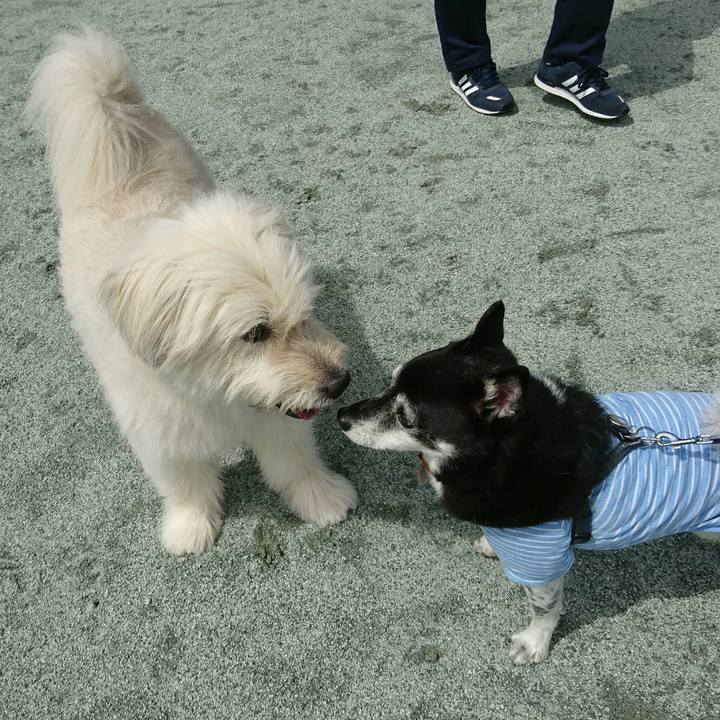 Fc94200b 62e5 4297 9dc5 f4cc6aa697cb