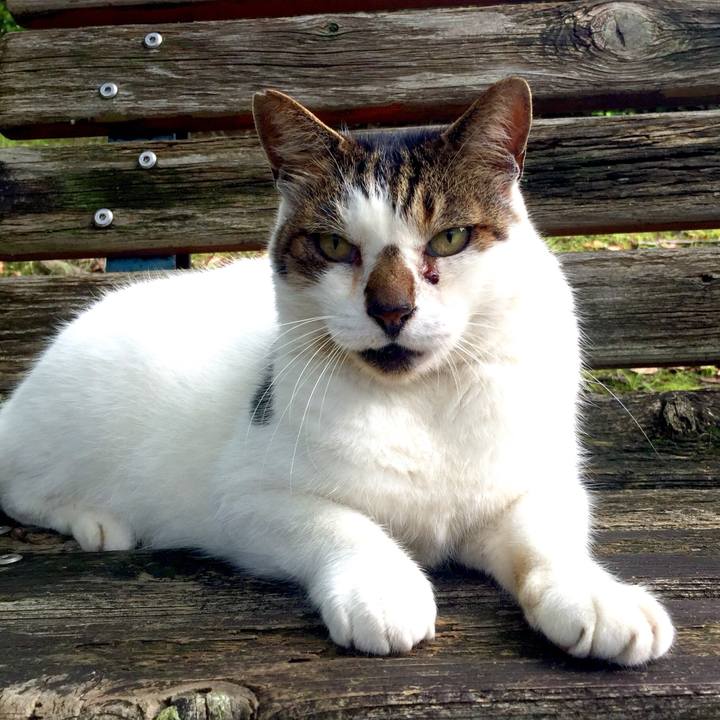 Fc944749 29b5 4585 9c08 b6cab5ee1abd