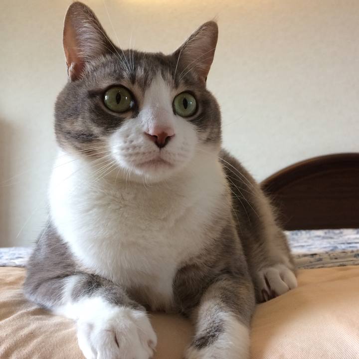 Fc94d761 b508 4c5b b1ed 59cd676b9aa2