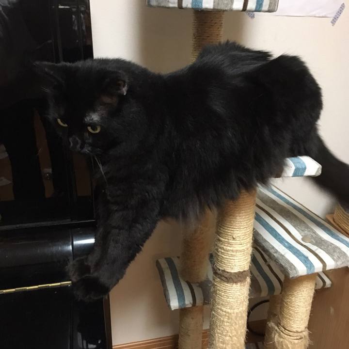 Fc94ff6f 82e5 44bd 88e0 dd240b057b20