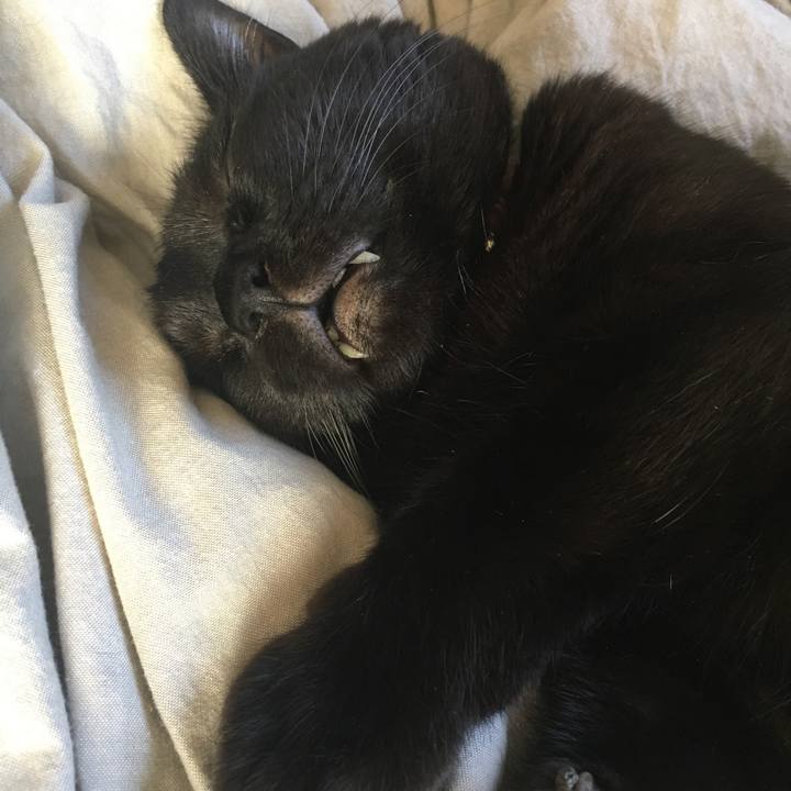 Fc9510f8 4937 4eda 9f8d 0f881e60c81b