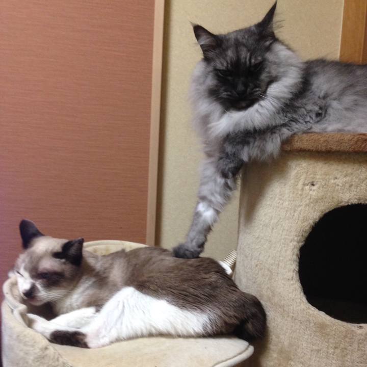 Fc954466 b6bf 4bad baab a04912ccf45d