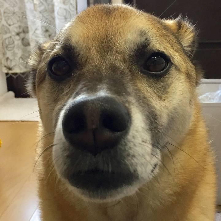 Fc955dea 98a1 4efe 917a efe741aa46fe