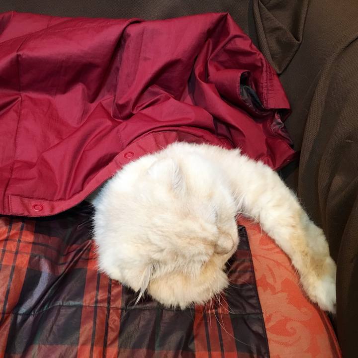 Fc95b74b 71f2 4910 b3b7 e2a253a27174