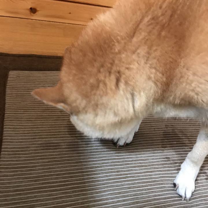 Fc96430a 5fe1 42bd b5fa 5c42dd203de3