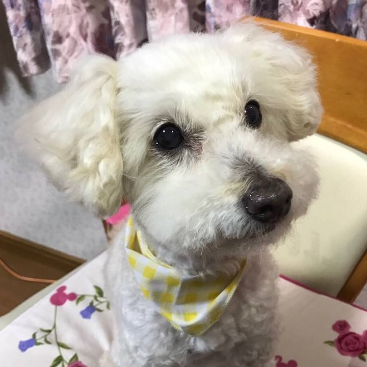 Fc9736e8 4bc1 481a b634 7ff0600c0bd9