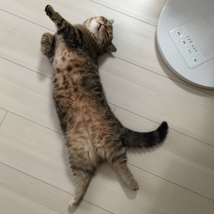 Fc9757fb 0c45 45d6 bb7d eac1a1412c57