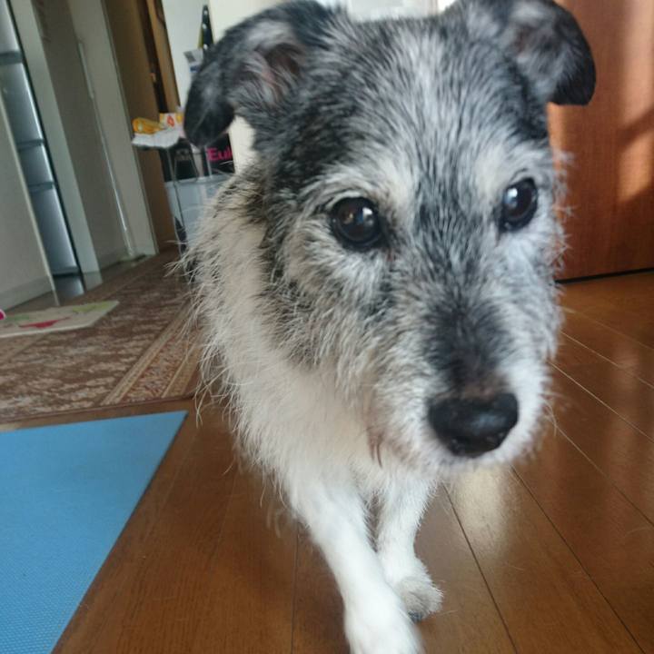 Fc975eda 783e 43f5 8f9a 0430e596a6d3