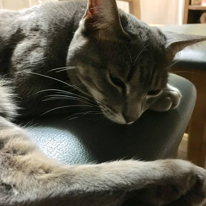 Fc976414 5a57 461d 9438 e2c3ecc3da1b