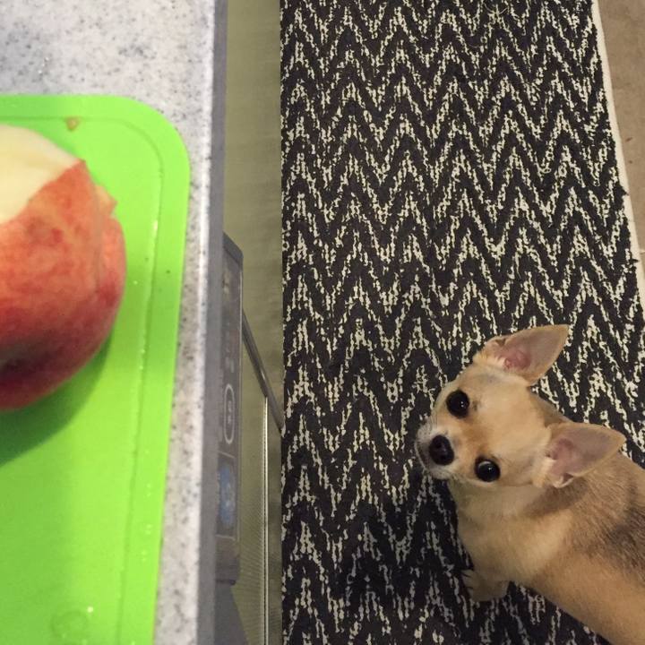 Fc977aac 88c7 444e bdbd 02b7d7a1f489