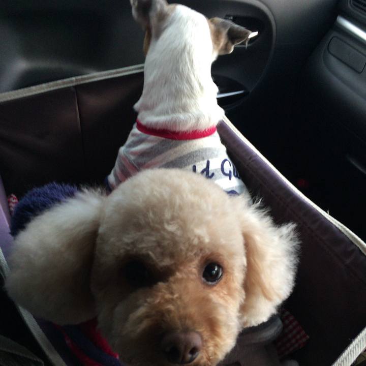 Fc97cc4a 3be0 49cf b9a0 e3fb9926b46d