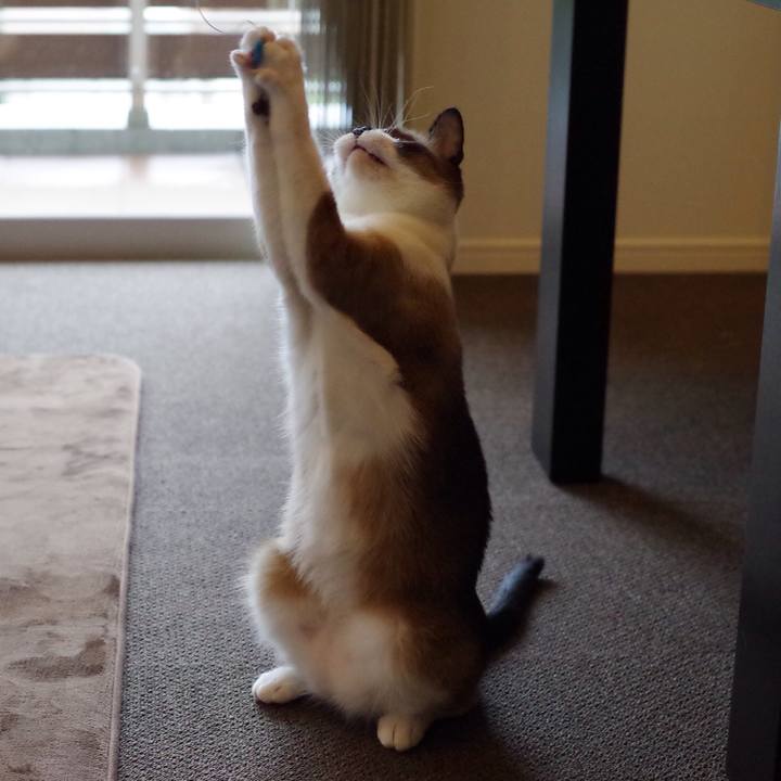 Fc97d2d7 5e90 4241 b07e bf4e41b964ff