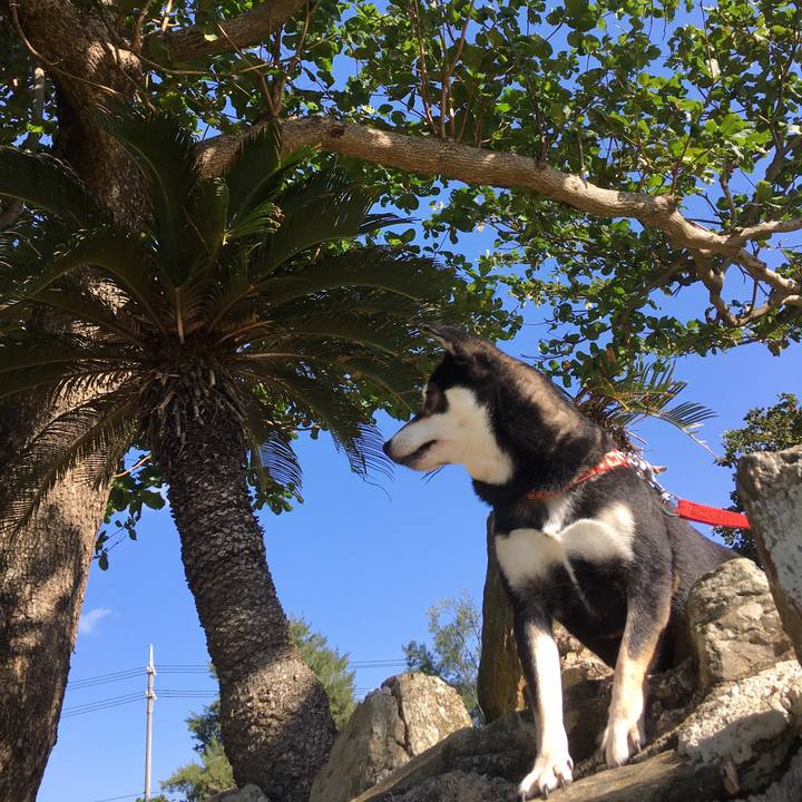 Fc985955 0960 4331 bd3a 6deee05694b8