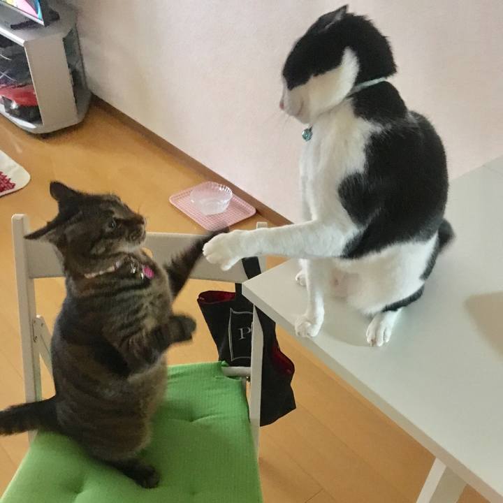 Fc9881b1 ed3d 469a 88aa 1ba311ca00c8