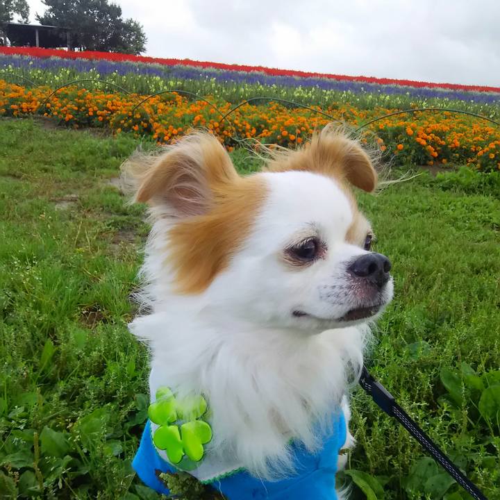 Fc98a75b d183 4b9a 8cf1 fcb03441c86b