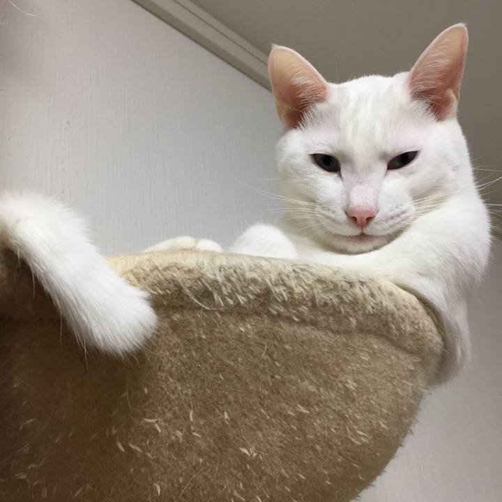 Fc990106 f347 4d45 8dd8 56c54d3c945e