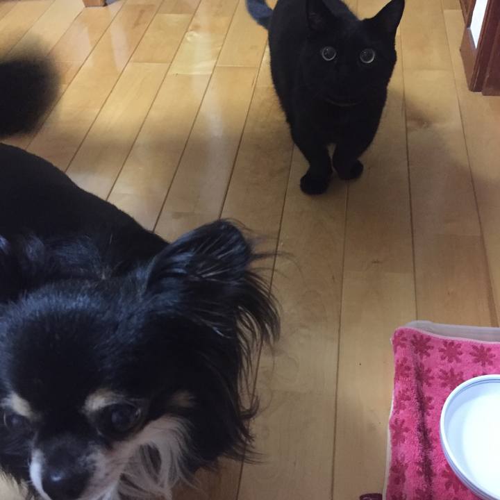 Fc9ba863 9a95 4390 9301 7854ec69d218