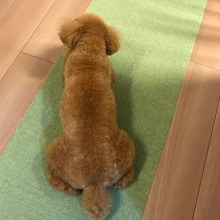 Fc9bbb19 4c47 470b 85ae 7ebc43765bd5