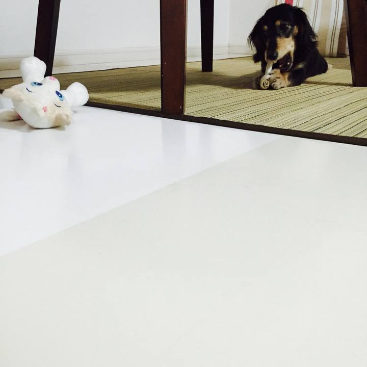 Fc9be04a 72f0 449f 9550 33bf5a62fd65