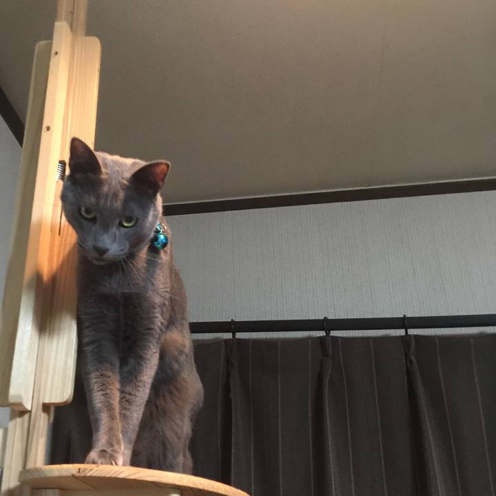 Fc9be16d 7847 46a3 a374 98fc7730f21e