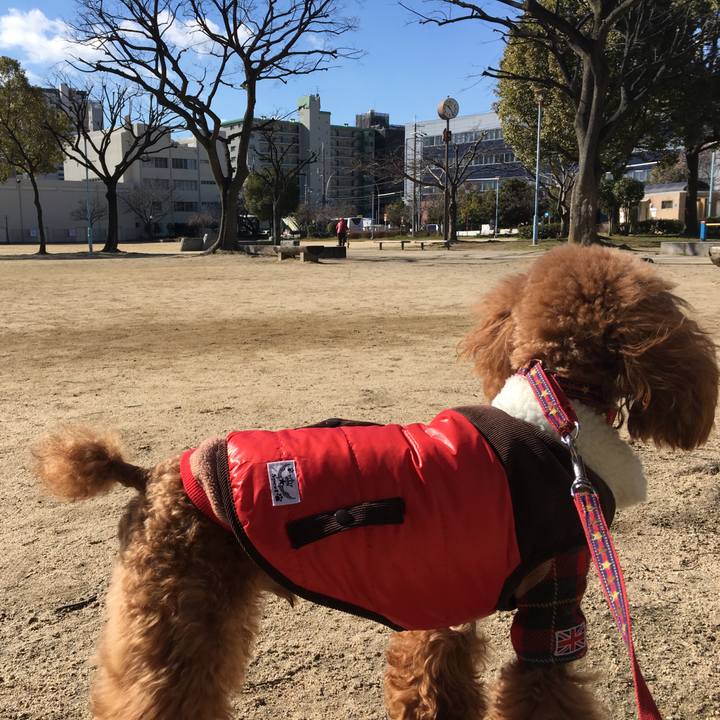 Fc9be230 0f5f 4487 bd6b b93b7713a320