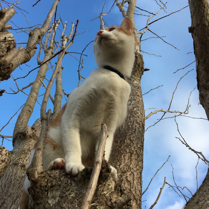 Fc9cd5a5 3dfe 4fe0 8920 fa195f78d616