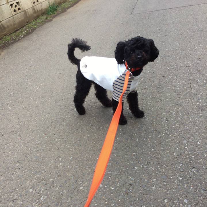 Fc9d2c12 b9fe 4647 97bf bc94b3f10e3e