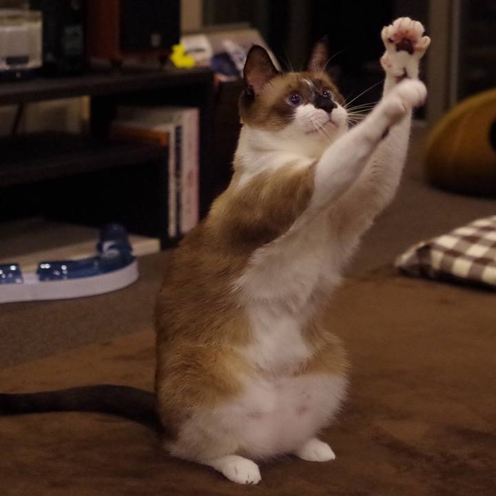 Fc9d6a87 dff2 447b a316 b19342bad4d8