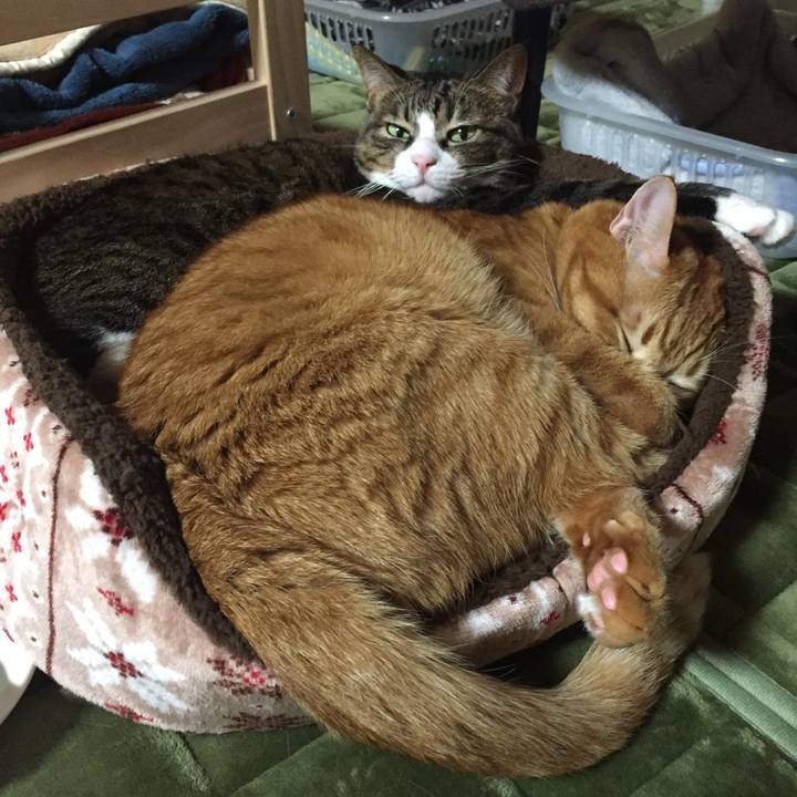 Fc9e3d8f 1d58 495d 9eff 4a6537558f2f