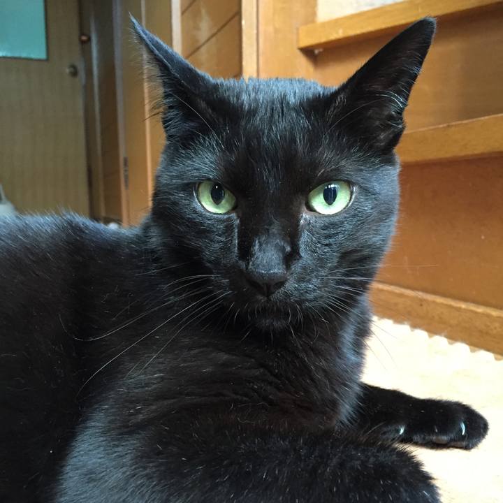 Fc9f59b2 2dda 4be8 af62 6d2fa2c2e93c