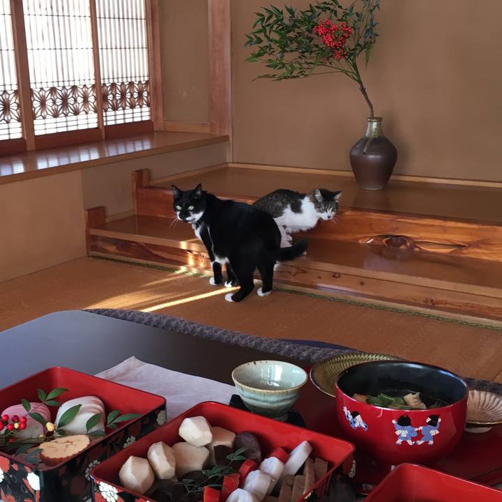 Fc9f6c2c 012a 456c b714 cef686d186d7