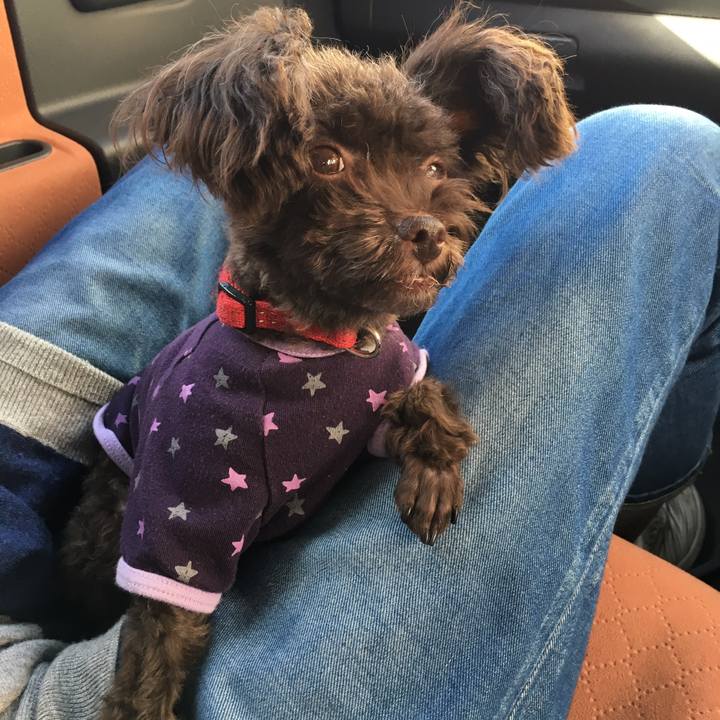 Fca04bd8 afd2 4170 85ed f9b016867999