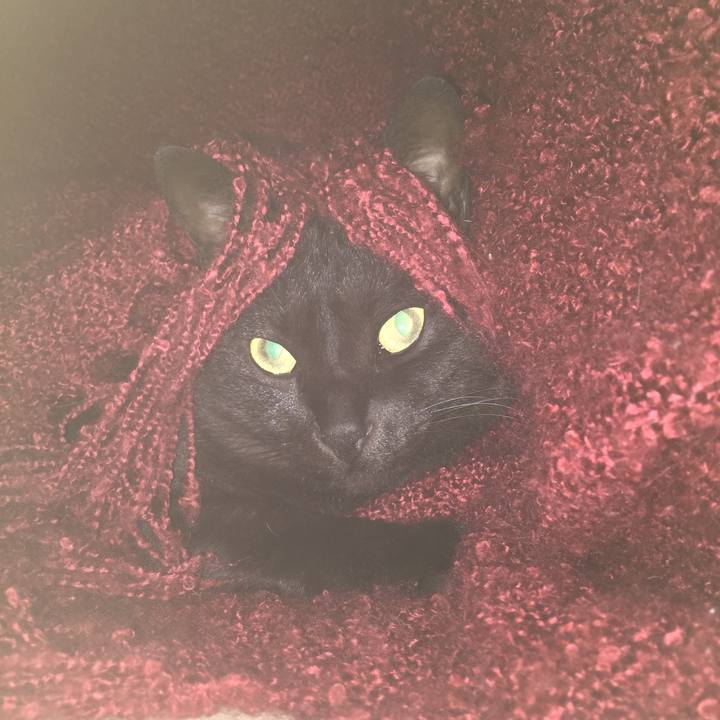 Fca060ab bd27 4200 afbe a1070dab8ad5