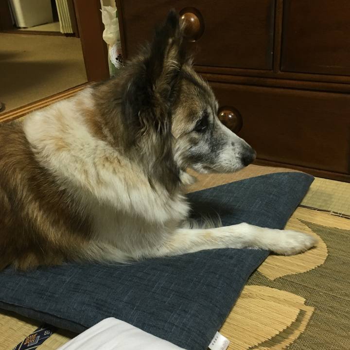 Fca0bdfc 8b8b 408a a1c1 1276385a993e