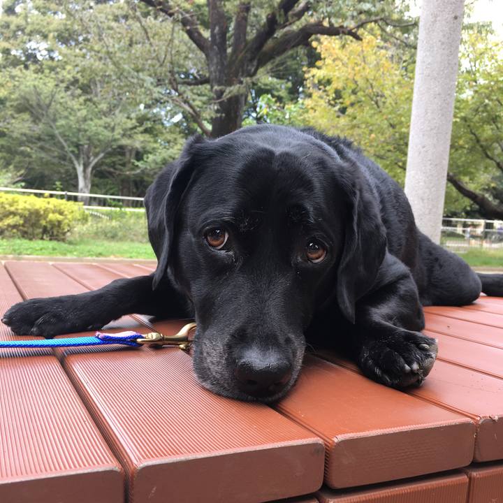 Fca0ecc5 3094 492a ab20 e45dd085fe9a