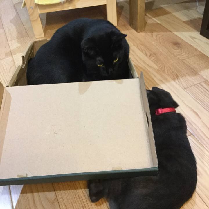 Fca1a6d9 a7e1 4597 8148 6b0350375d97