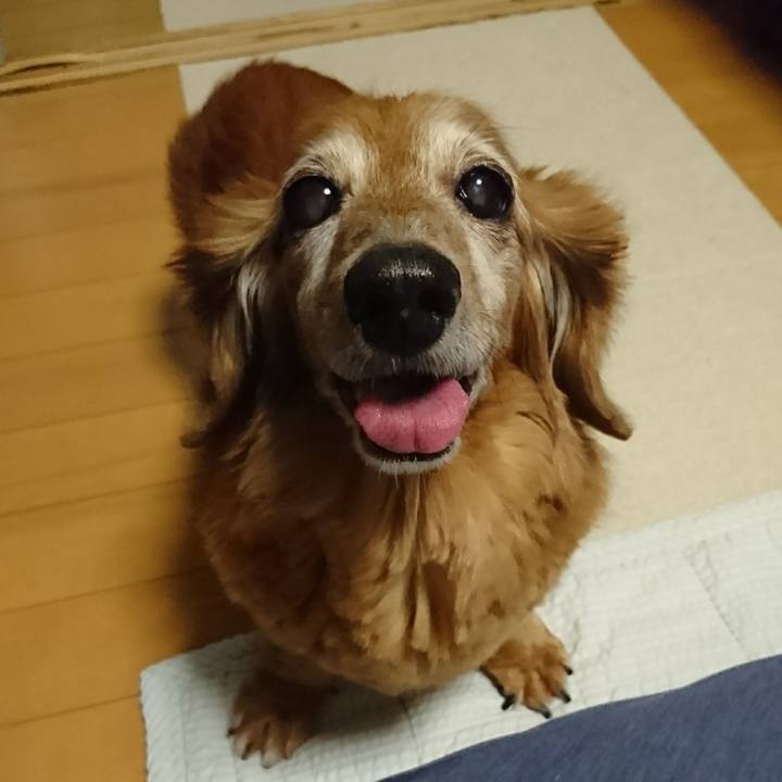 Fca1f61e 706a 46fd bf59 a487f77d9adc