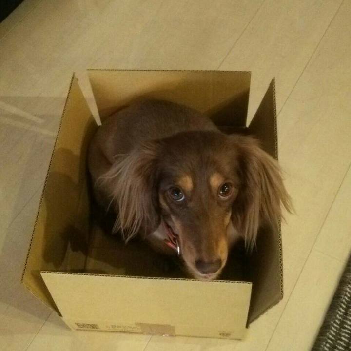 Fca1f937 84cf 4503 aff5 ce3de4398587