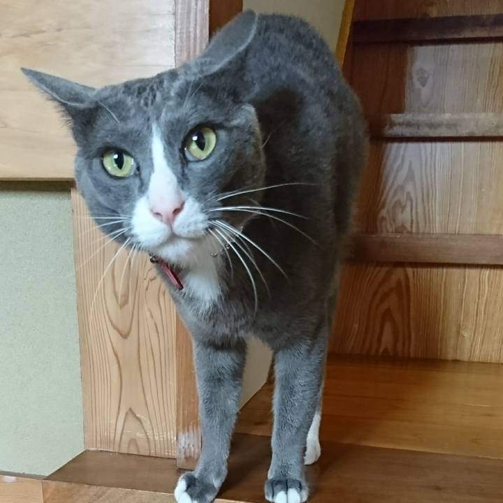 Fca254e6 c53f 4a01 a7d7 74313f23cef2