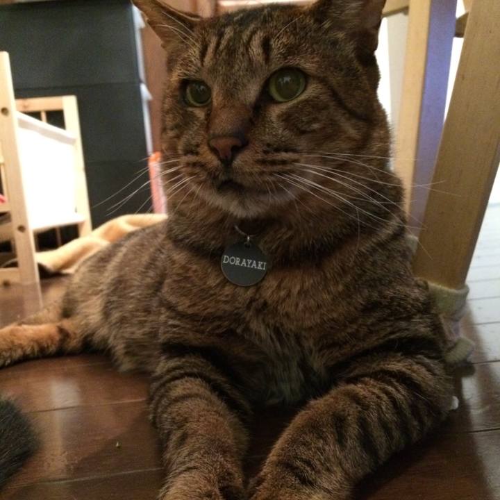 Fca2f5e6 0a49 4bf6 8ddd 8b41ec7ef620