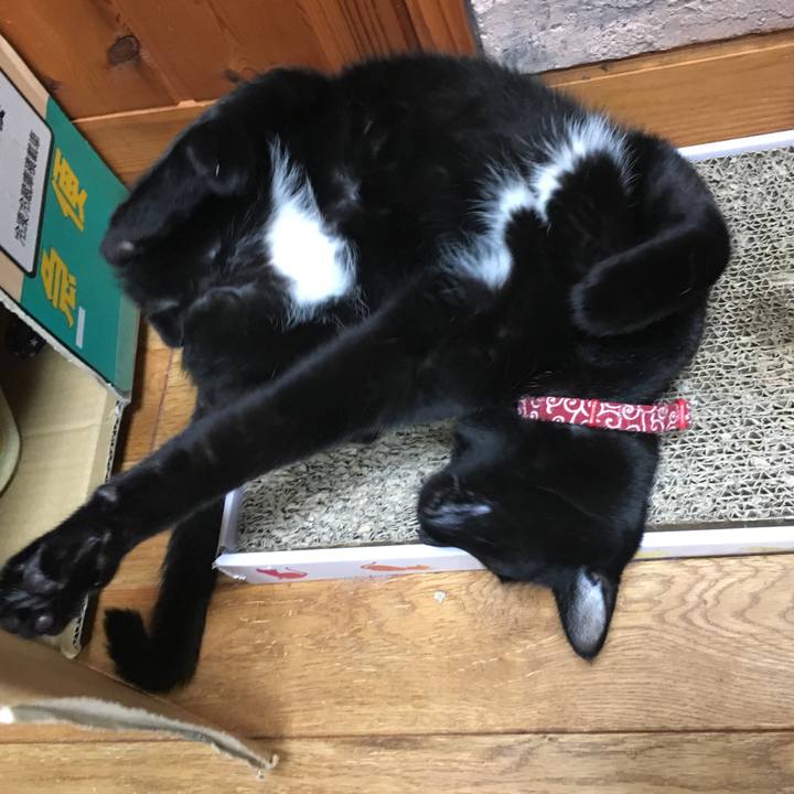 Fca3656a e1bf 4ad2 a2c4 1f8855a33cc2