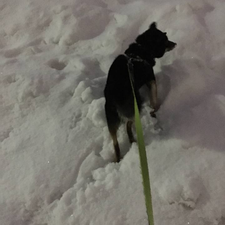 Fca380af c11c 4825 853d 96223b14ee83