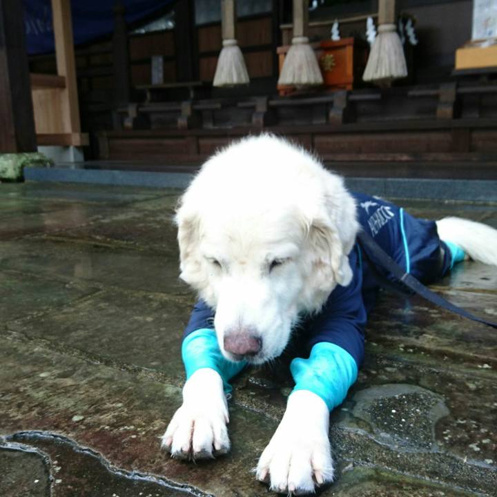 Fca3ae0c cafe 4897 ae3f b8980a99b952