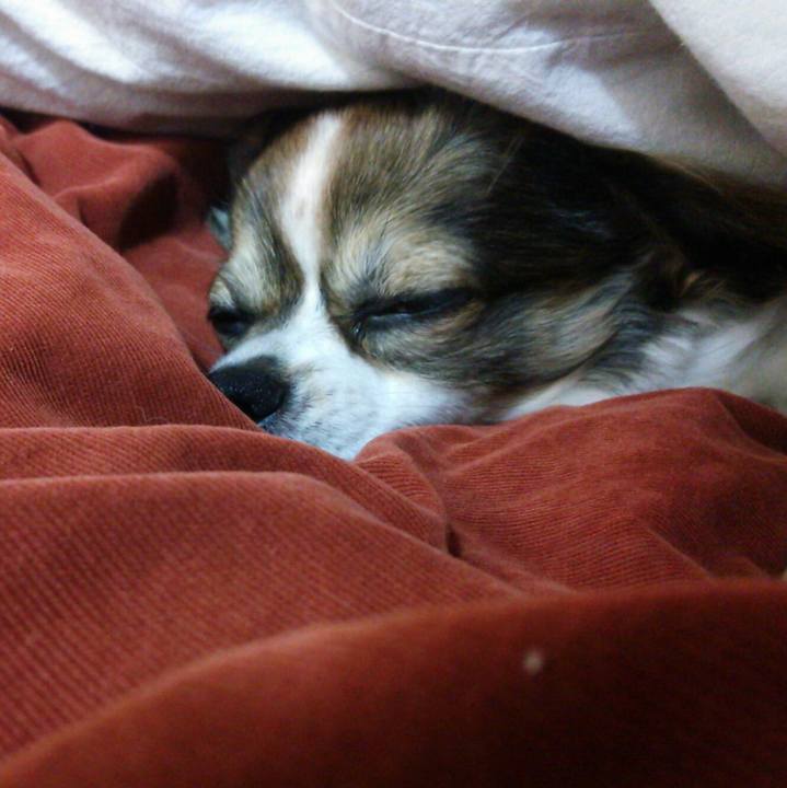 Fca3ff6d 40a5 47c3 b6cb c70ad77c9912