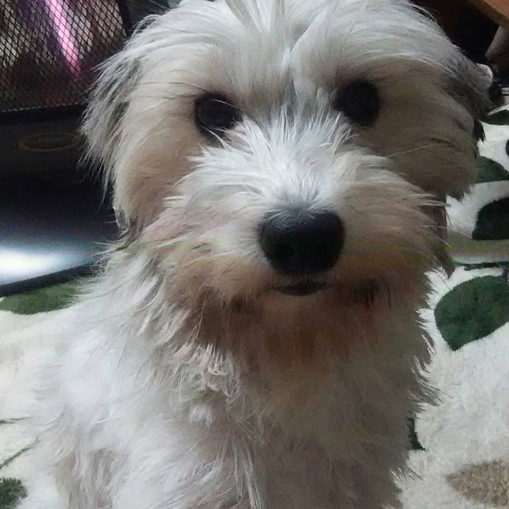 Fca4cc8b 8f16 4b66 b401 208cd1e3da98