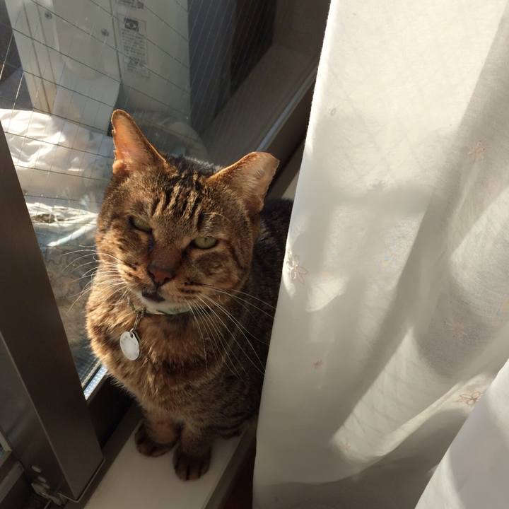 Fca4db61 32fa 4214 bfe6 ea080ca706a5