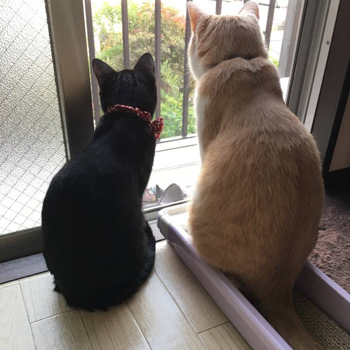 Fca4f3b4 c37b 4f93 bf5d e9a7471ebc58