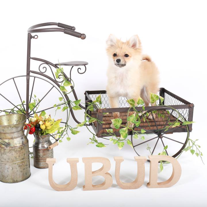 Fca4ffc5 e9c8 47c4 afd6 5c8fa798dda9