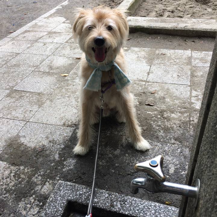 Fca5bea1 d9c7 4cdf 90b6 196bcff631ca