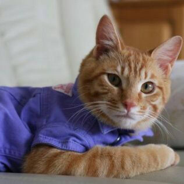 Fca5d990 0db7 417b acb0 1a577beb5c8c